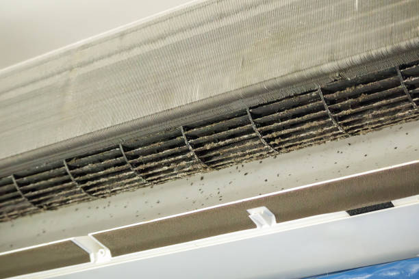 Best Ventilation Cleaning Services  in Wade Hampton, SC